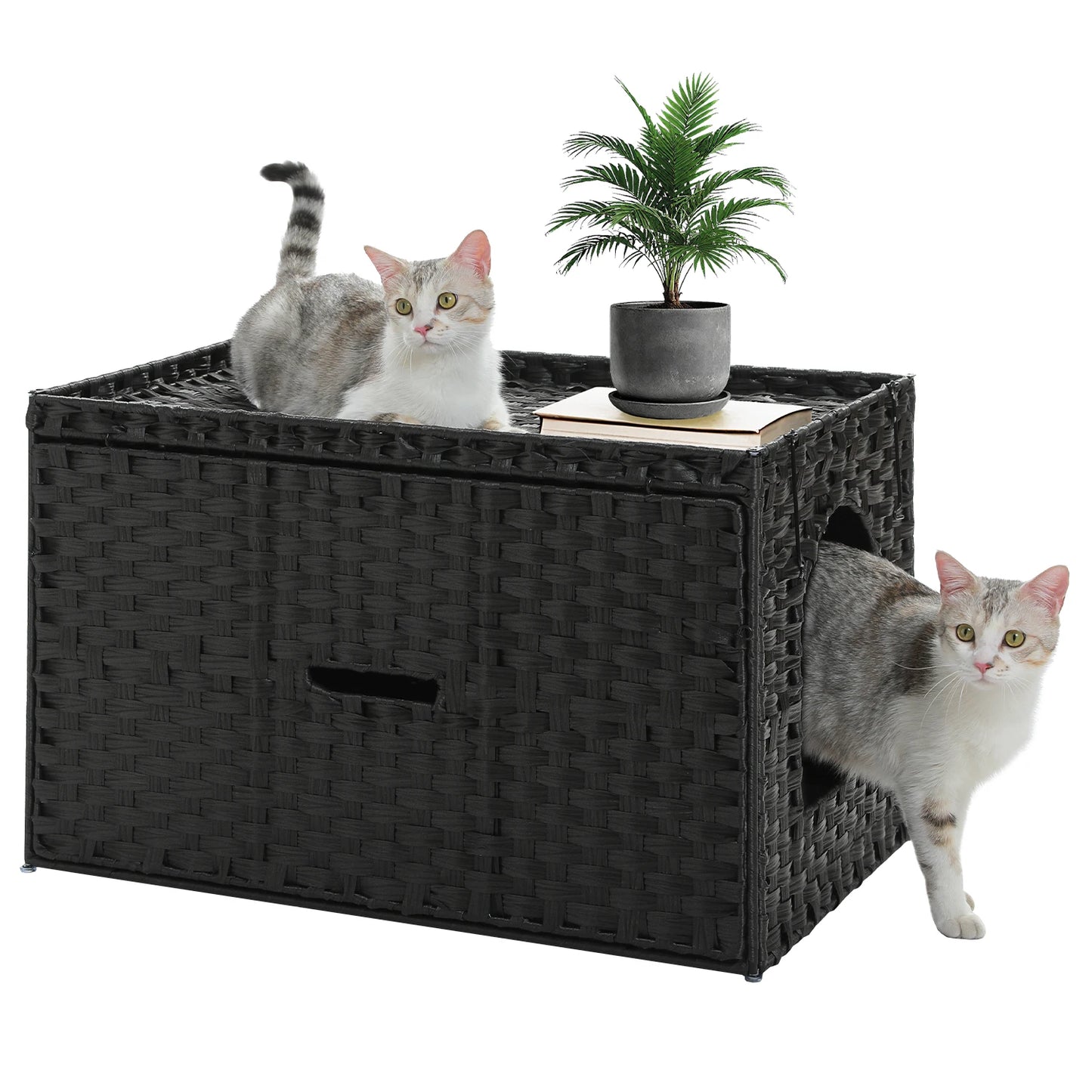 Rattan Cat Litter Box Enclosure With Taller Doorway And Flip Up Design