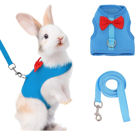Bunny Harness and Leash Set with Cute Bow for Rabbits Kittens and Puppies