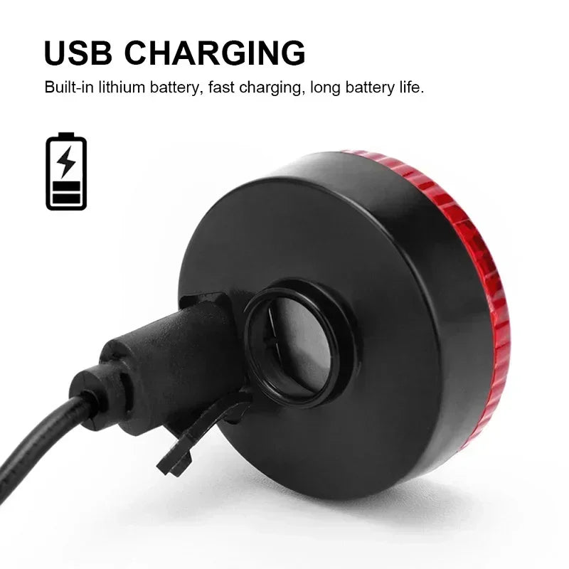 USB Rechargeable LED Dog Collar With 3 Modes For Safe Night Walking