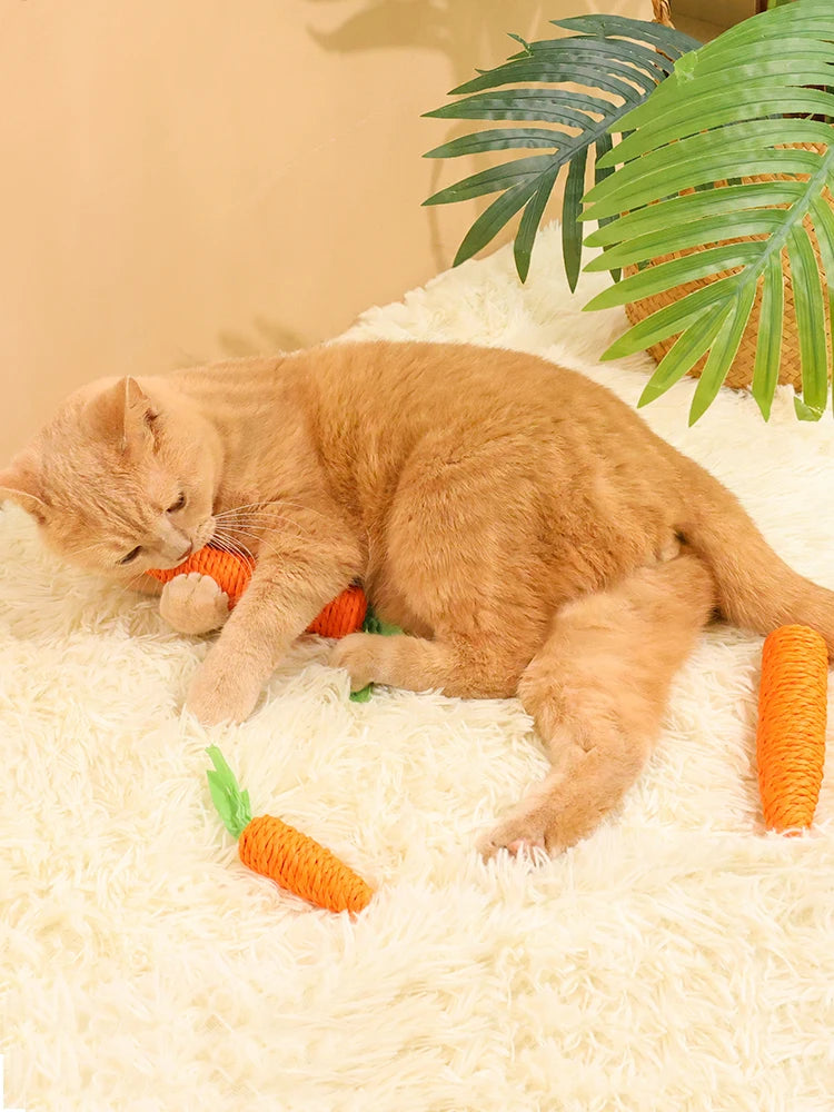 Carrot Shaped Cat Teething Toy With Hemp Rope Interactive Chew Toy