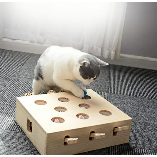 Cat Toys Fun Entertainment Stimulating Cat Puzzle Toy for Indoor Hide and Seek Whack a Mole Cats Toy
