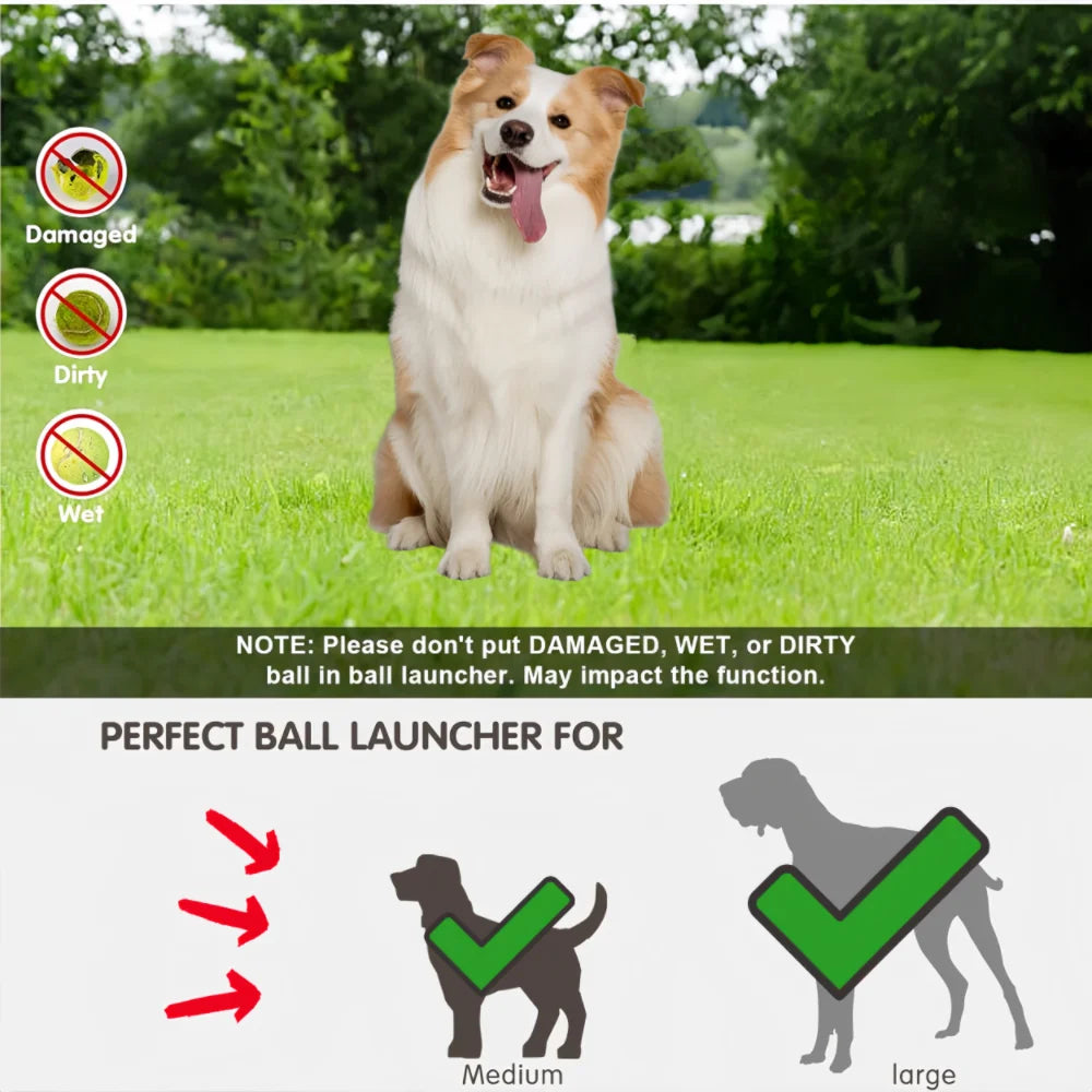 Automatic Dog Ball Launcher USB Rechargeable Chase Toy For Dogs