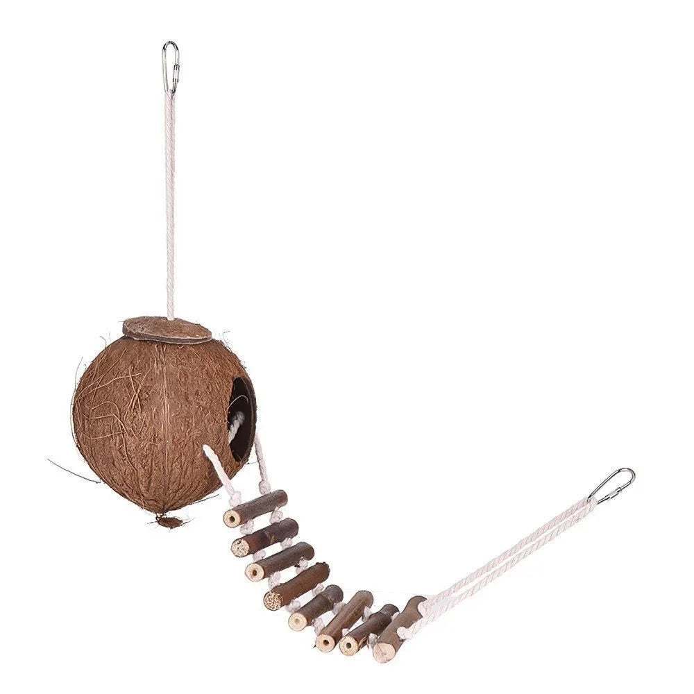 Natural Coconut Shell Bird Nesting House For Small Birds With Ladder