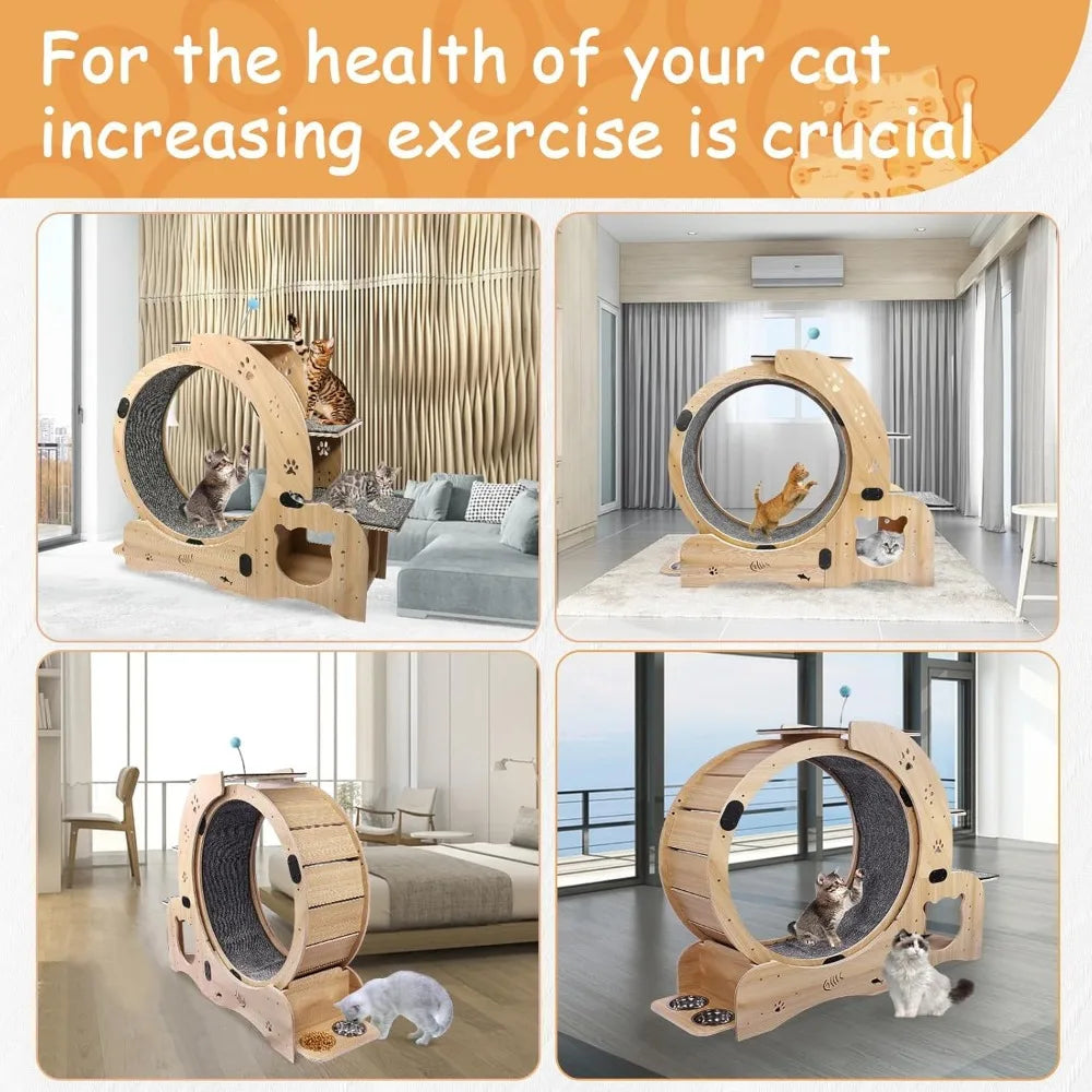51 Inch 6 In 1 Cat Exerciser Wheel With Bed And Scratching Board