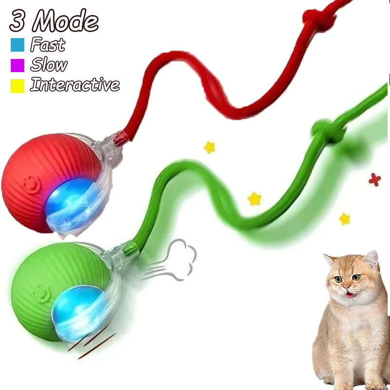 2 Pack Cat Interactive Ball Toys Automatic Rolling Ball Rechargeable Toy Cats