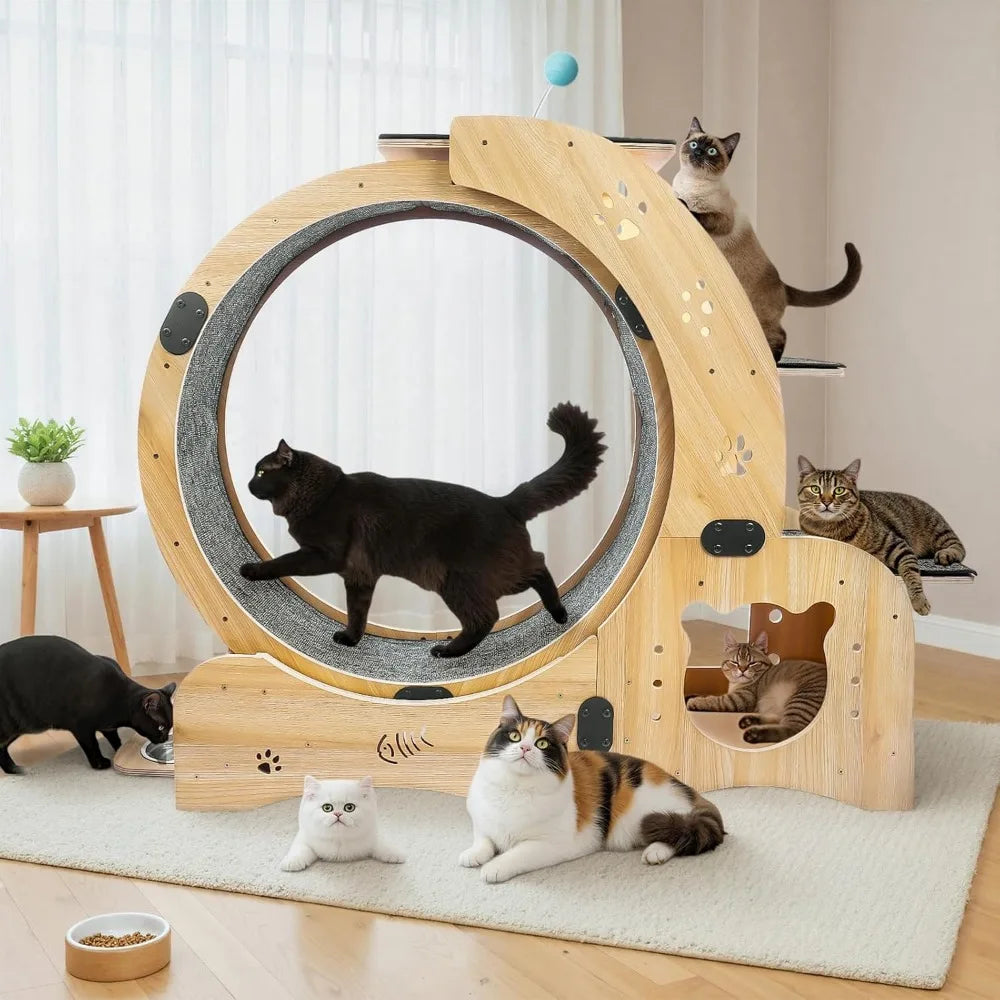 51 Inch 6 In 1 Cat Exerciser Wheel With Bed And Scratching Board
