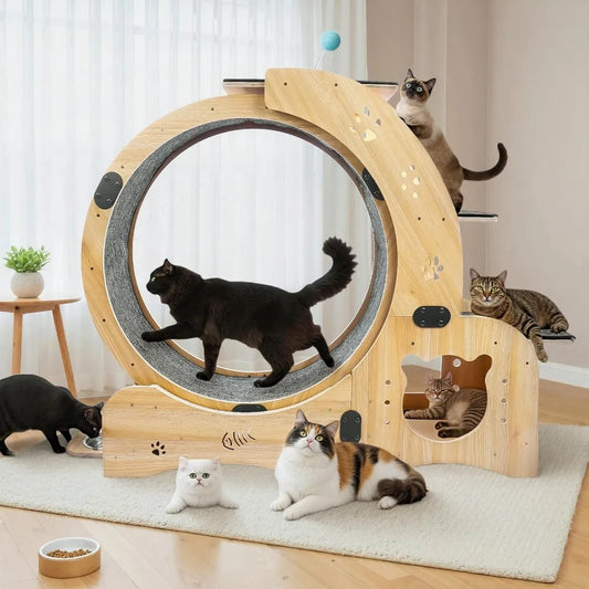 51 Inch 6 In 1 Cat Exerciser Wheel With Bed And Scratching Board