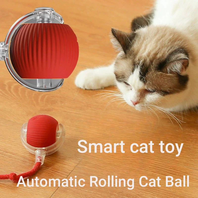 Smart Cat Interactive Ball Toy Automatic Rolling Rechargeable Kitten Toy