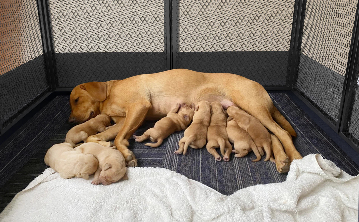 8 Panels Heavy Duty Dog Playpen With Waterproof Pad For Whelping And Training
