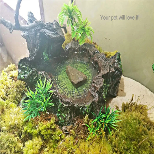 Stable And Sturdy Reptile Feeder Bowl For All Reptile Needs Wide Application Reptile Food Water Dish
