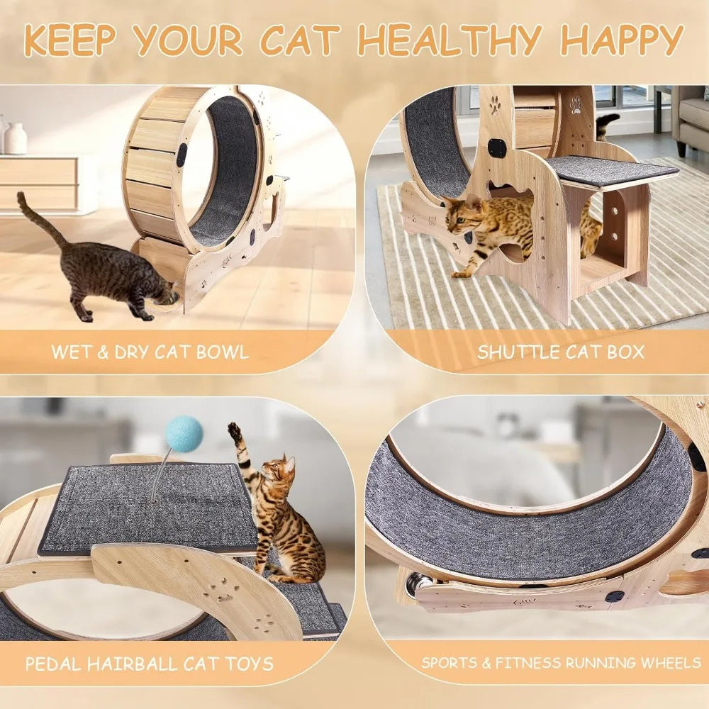 51 Inch 6 In 1 Cat Exerciser Wheel With Bed And Scratching Board