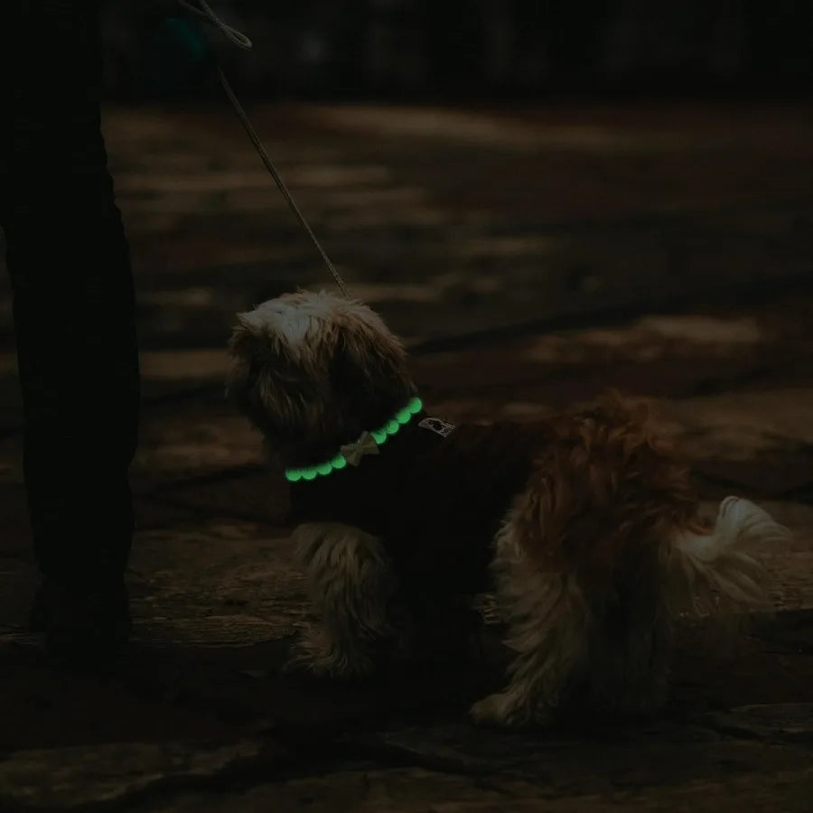 Glow In The Dark Beaded Dog Collar With Bow Tie Adjustable Nighttime Necklace