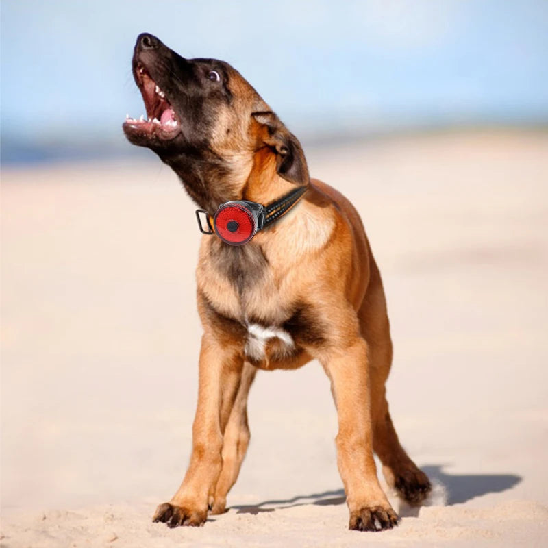 USB Rechargeable LED Dog Collar With 3 Modes For Safe Night Walking