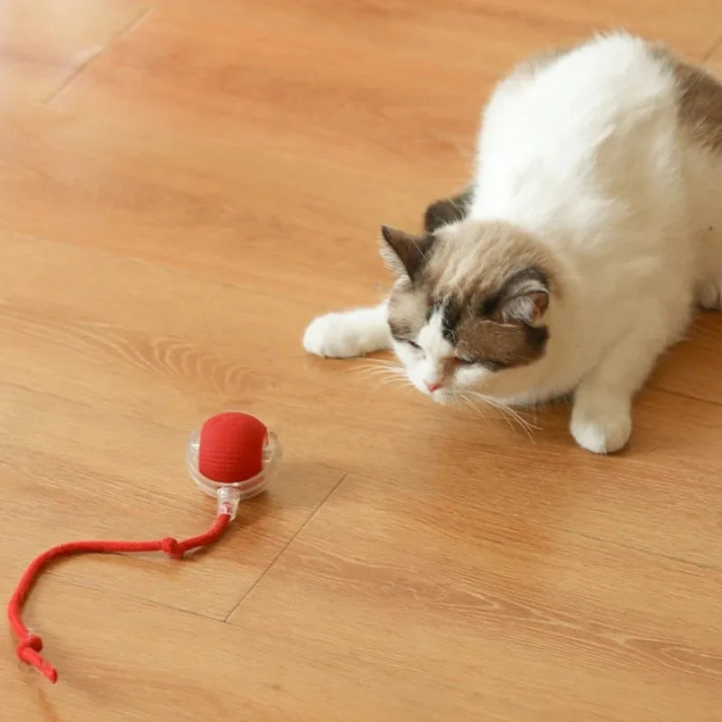 Smart Cat Interactive Ball Toy Automatic Rolling Rechargeable Kitten Toy