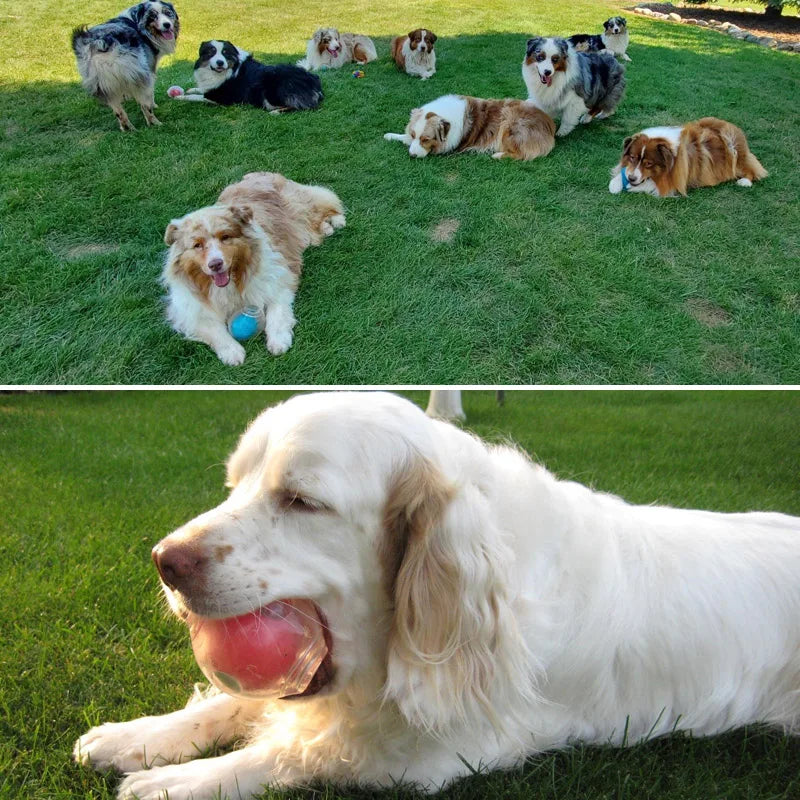 CAITEC Amazing Squeaker Ball Durable Floatable Dog Toy For Tossing And Chasing