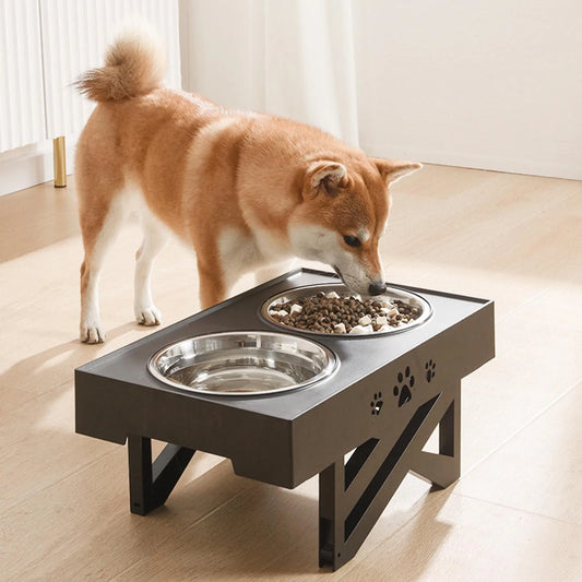 Stainless Steel Elevated Dog Bowl Non-Slip Design for Healthy Digestion