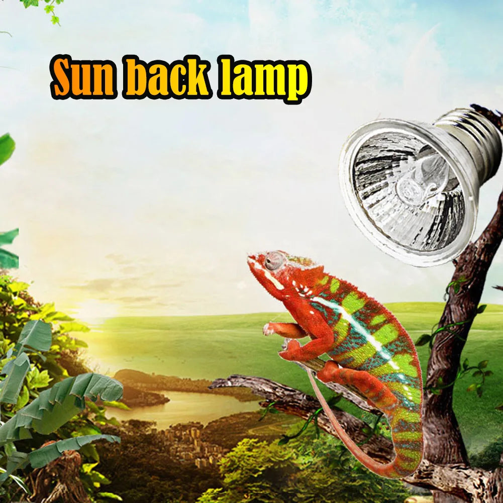 1-5PC 25W 50W 75W UVA+UVB Pet Reptile Heating Lamp Heat Light Bulb Turtle Lizard Heater Bulb Full Spectrum Sunlamp for Amphibian