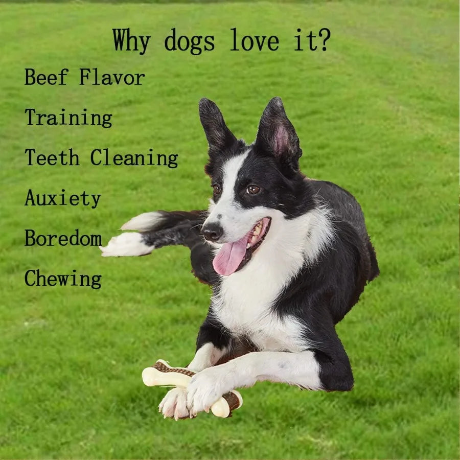Indestructible Nylon Dog Chew Bones For Aggressive Chewers 2 Pack Beef Flavor