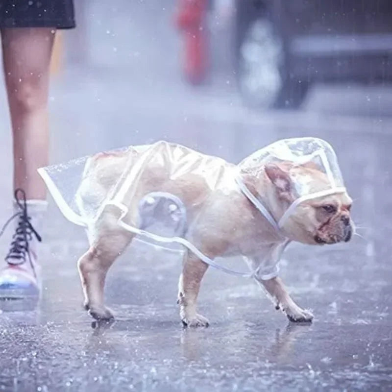 Transparent Hooded Dog Raincoat Poncho For Small Dogs Outdoor Use