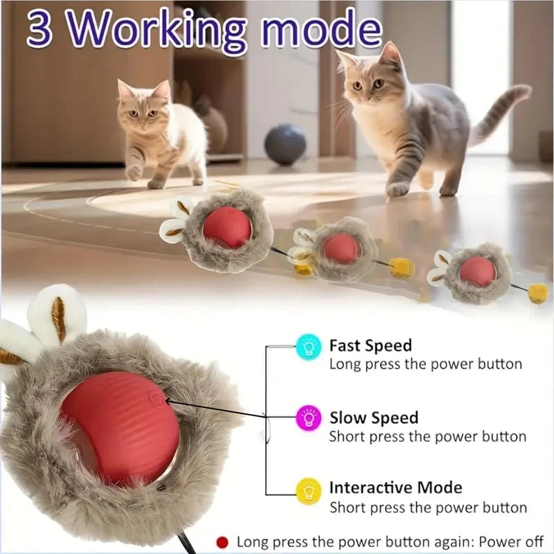 Rechargeable Hide And Seek Pet Toy For Cats And Dogs Interactive Ball Play Set