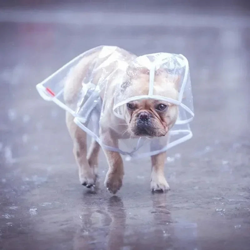 Transparent Hooded Dog Raincoat Poncho For Small Dogs Outdoor Use