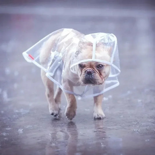 Transparent Hooded Dog Raincoat Poncho For Small Dogs Outdoor Use