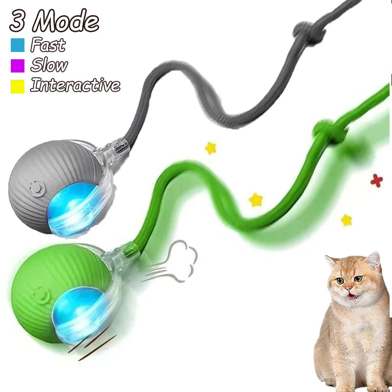 2 Pack Cat Interactive Ball Toys Automatic Rolling Ball Rechargeable Toy Cats