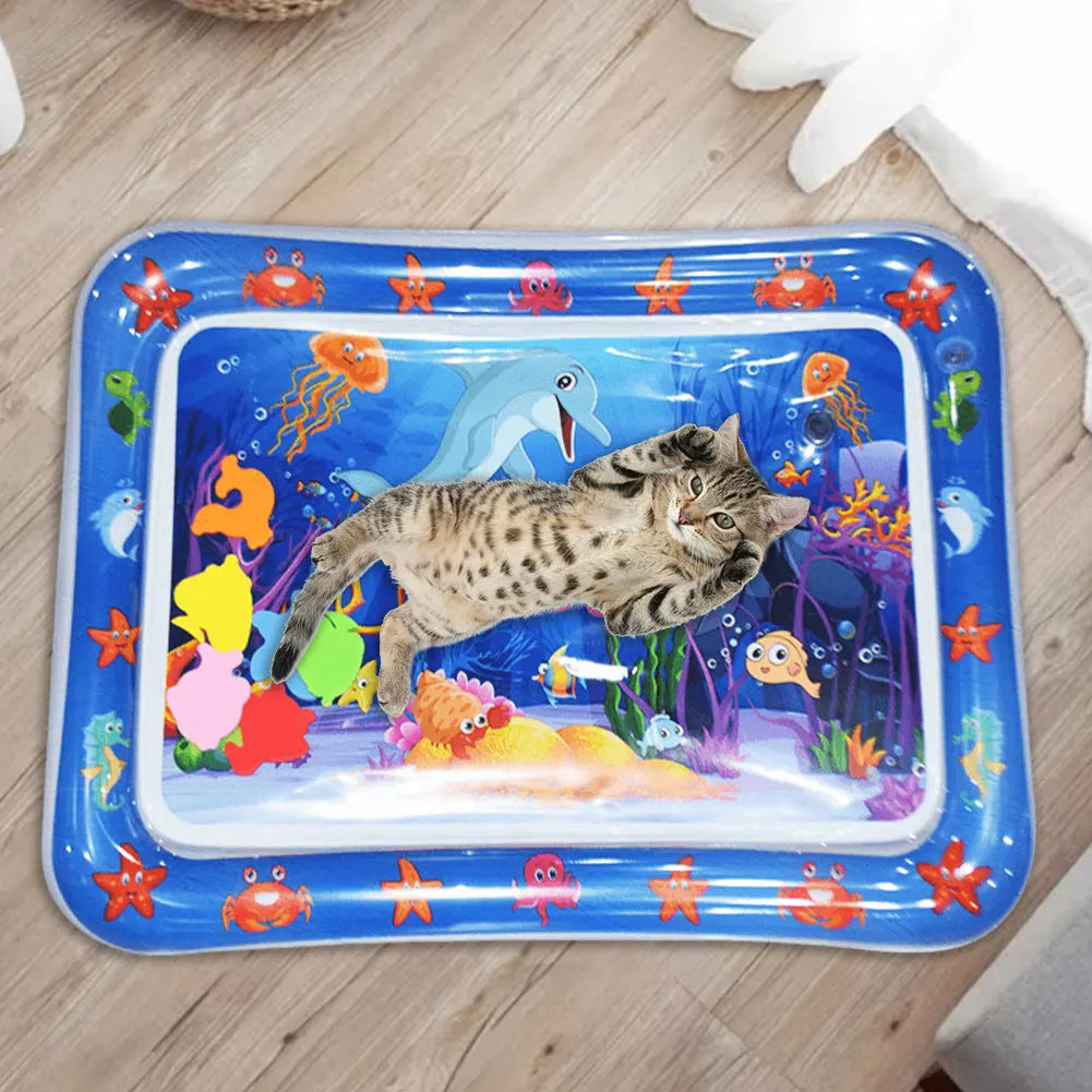 Water Sensory Play Mat With Fish For Bored Indoor Cats And Tummy Time