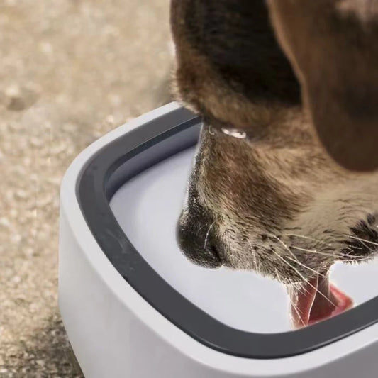 Non-Slip Clear Plastic Dog Water Bowl with Floating Debris Filter - Spill-Resistant, Travel-Ready, No Batteries Needed, Portable