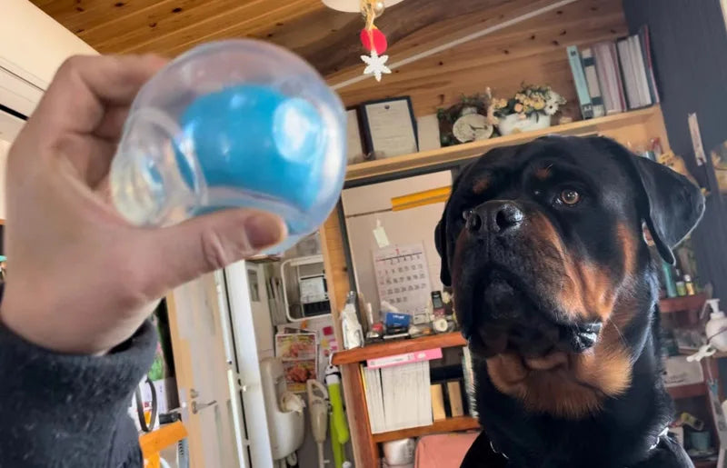 CAITEC Amazing Squeaker Ball Durable Floatable Dog Toy For Tossing And Chasing