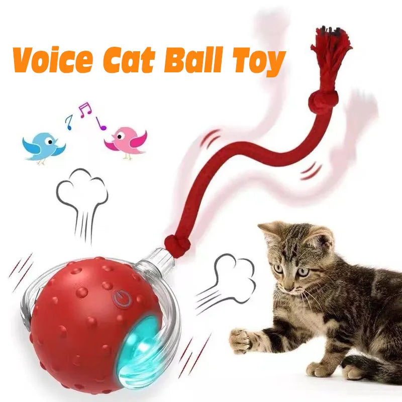 Smart Cat Interactive Ball Toy Automatic Rolling Rechargeable Kitten Toy
