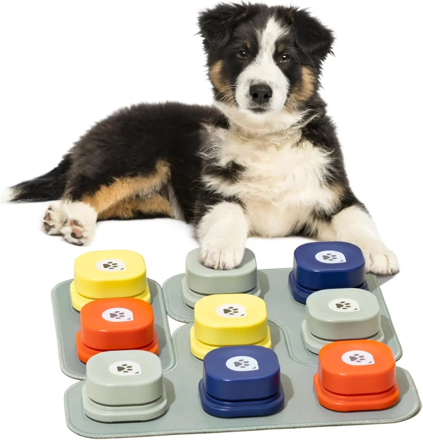 Mewoofun Recordable Dog Talking Buttons with Rubber Mat for Training
