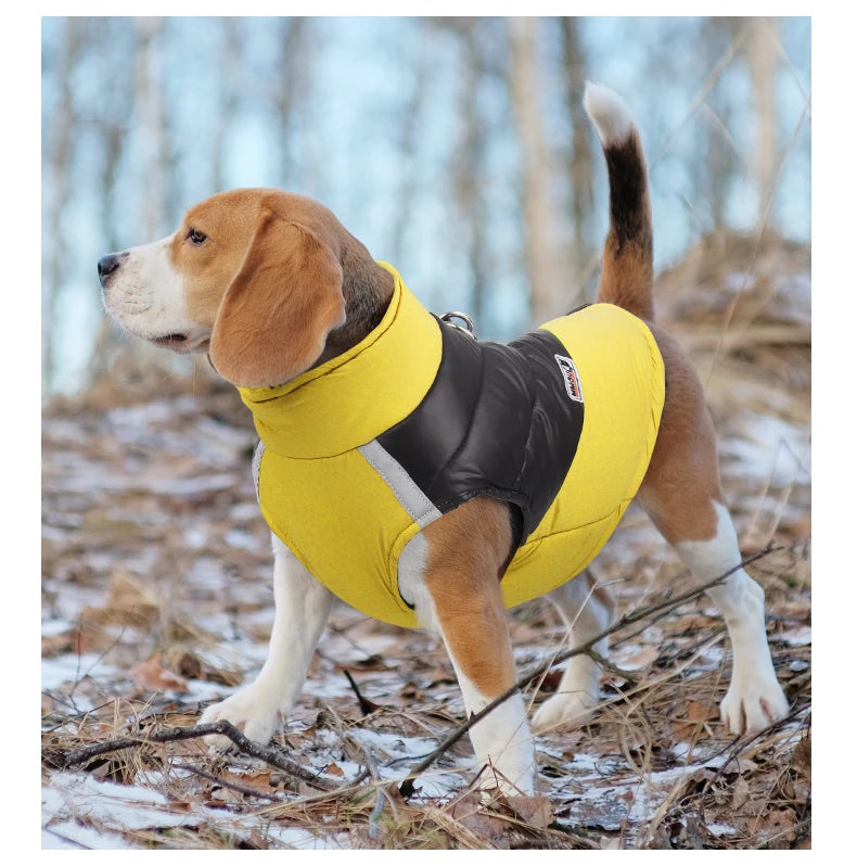 Winter Dog Cotton Coat With Reflective Stripe Harness For All Sizes