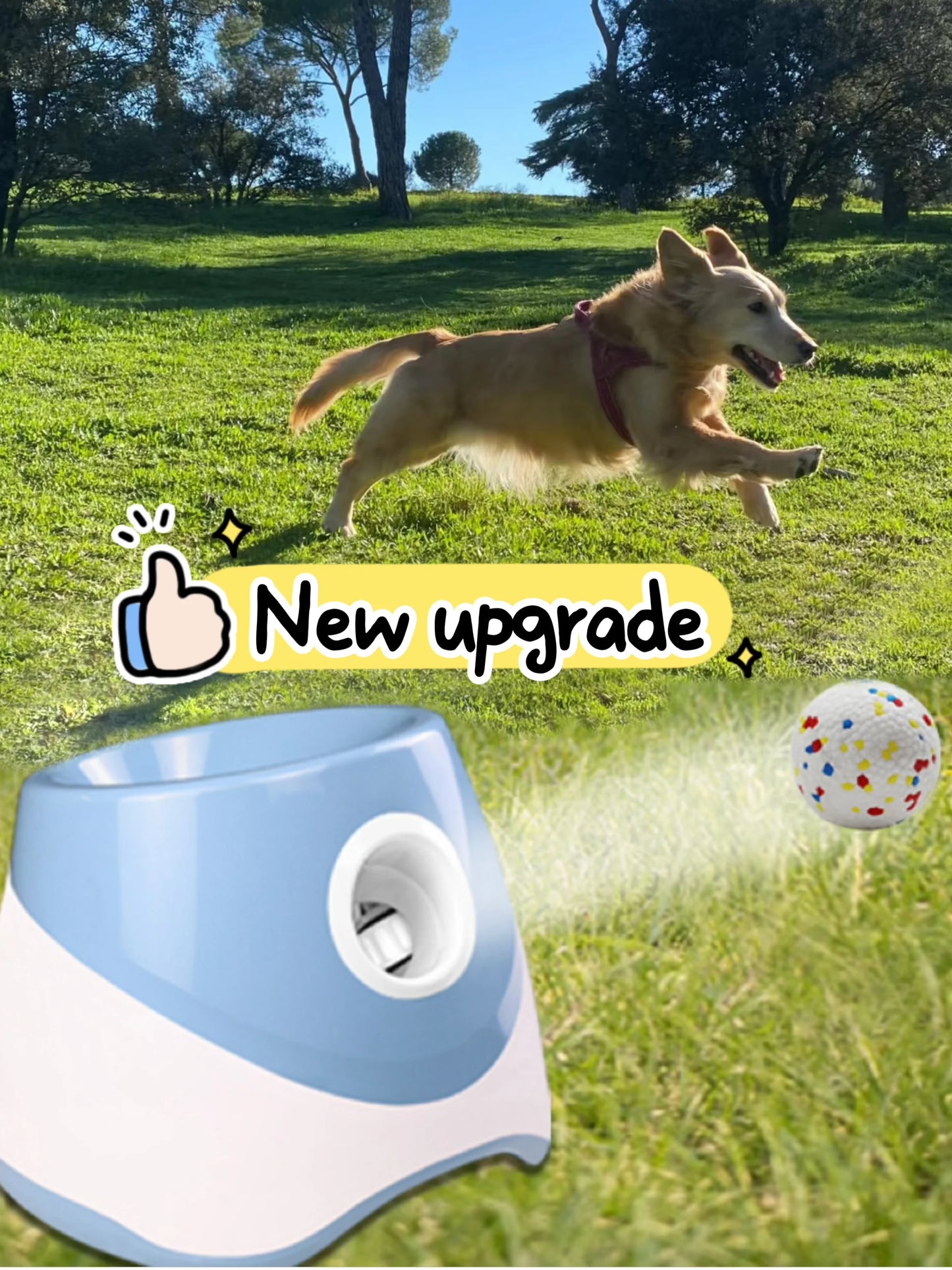 Automatic Dog Ball Launcher USB Rechargeable Chase Toy For Dogs