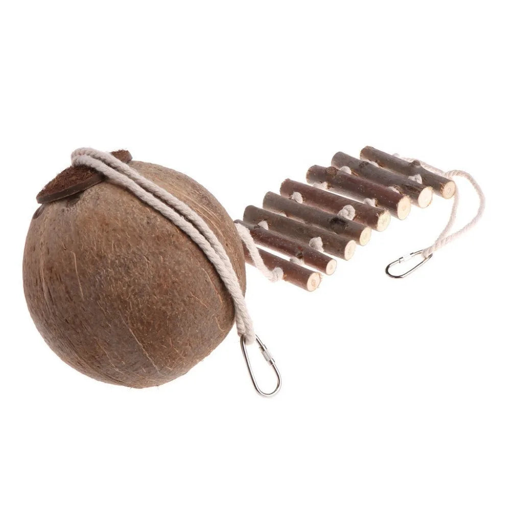 Natural Coconut Shell Bird Nesting House For Small Birds With Ladder