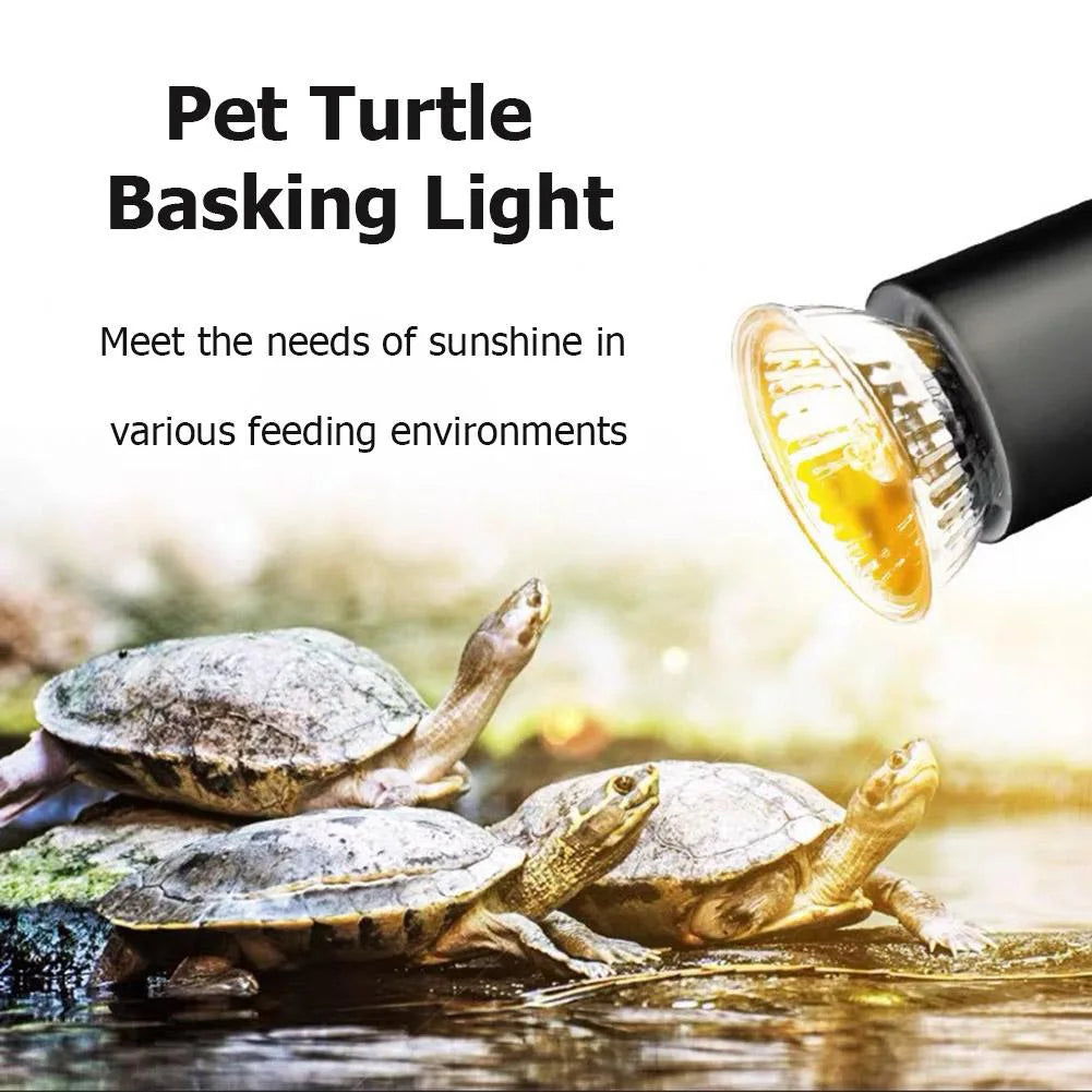 1-5PC 25W 50W 75W UVA+UVB Pet Reptile Heating Lamp Heat Light Bulb Turtle Lizard Heater Bulb Full Spectrum Sunlamp for Amphibian