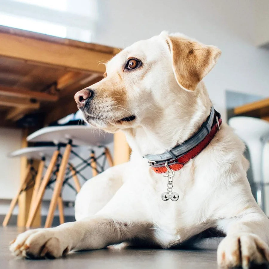 2 Pack Stainless Steel Dog And Cat Bell Necklace Pendant Charm For Pets