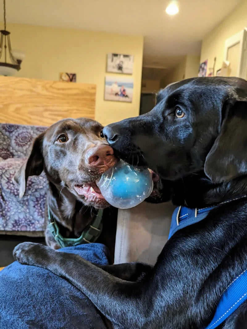 CAITEC Amazing Squeaker Ball Durable Floatable Dog Toy For Tossing And Chasing