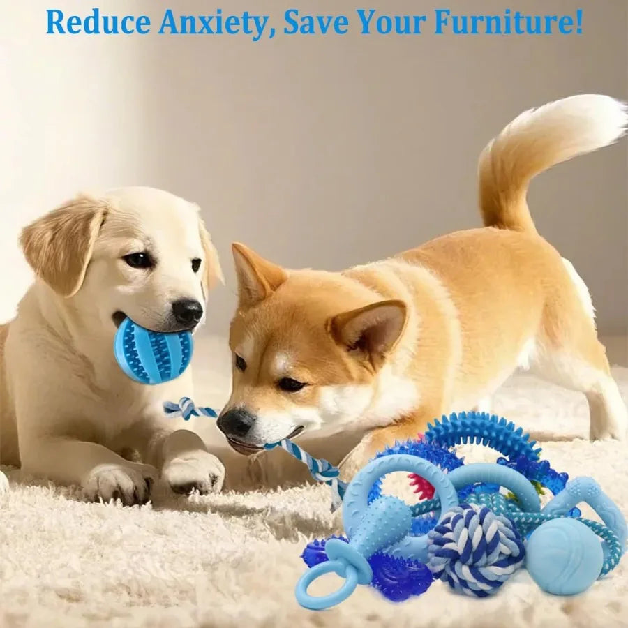 20 Pack Puppy Chew Toys For Small Breeds Blue Teething Rings And Ropes Bundle