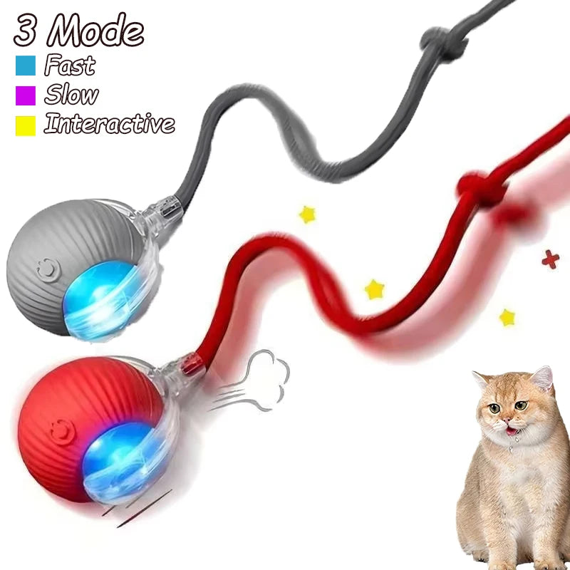 2 Pack Cat Interactive Ball Toys Automatic Rolling Ball Rechargeable Toy Cats