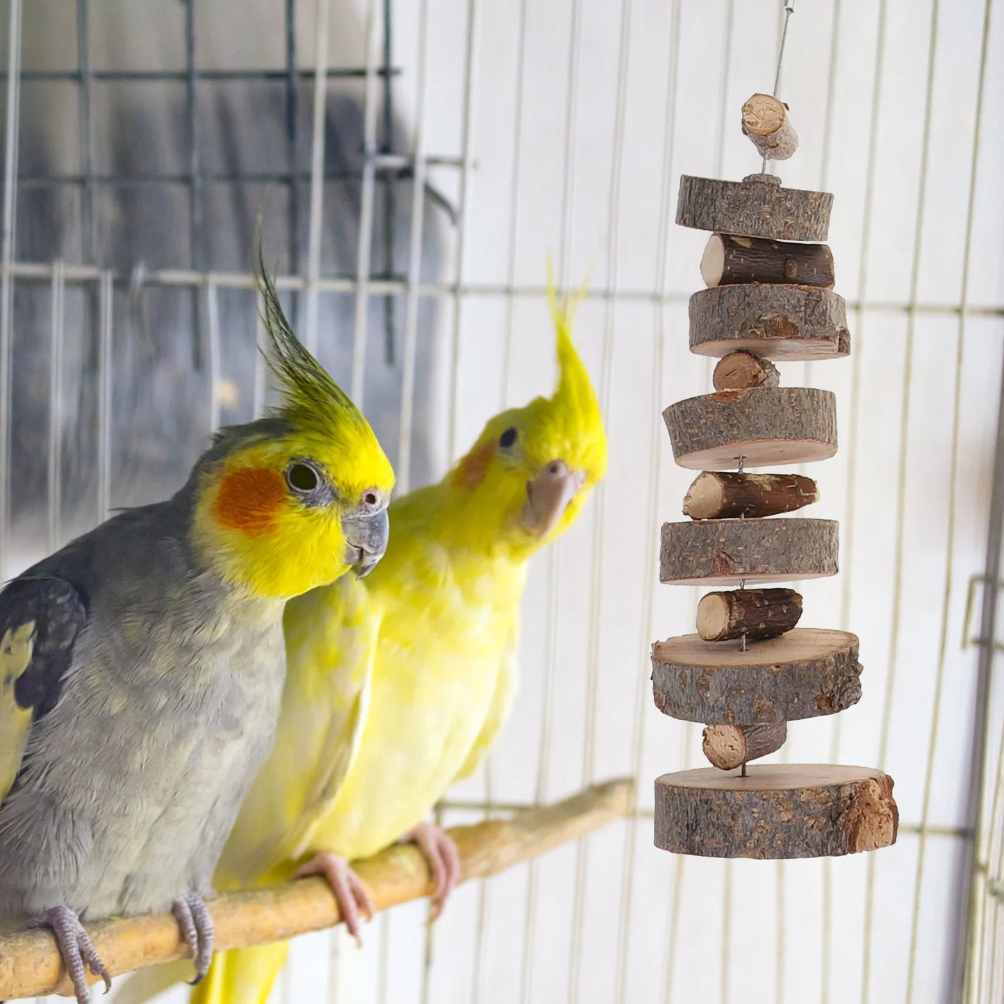 Hamster Chew Toy And Rabbit Molar Set For Small Pets Guinea Pig Toys